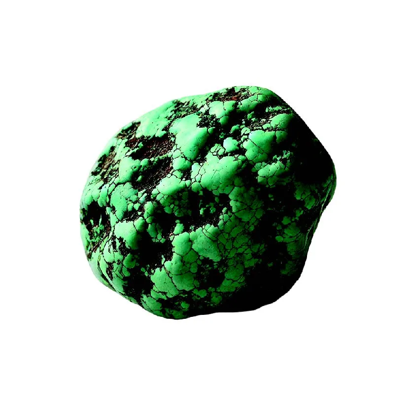 La turquoise